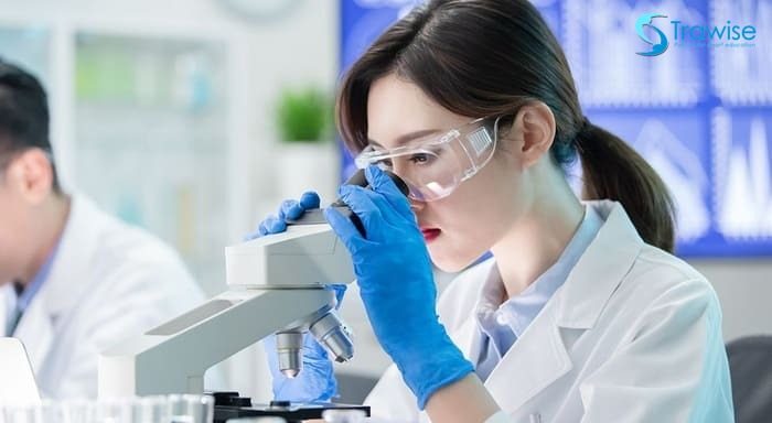 quan sát mẫu vật bằng kính hiển vi