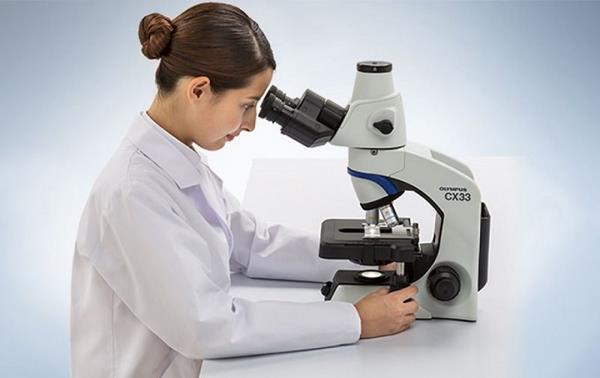 cách lấy vi trường kính hiển vi