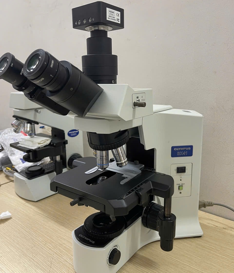 Kính hiển vi Olympus BX41 3 mắt