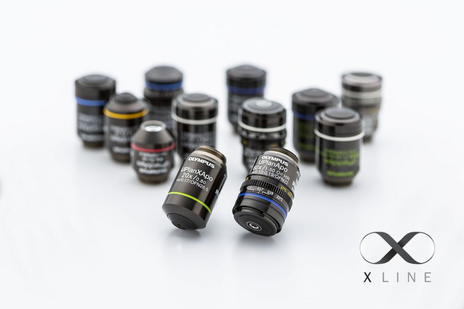 vật kính hiển vi