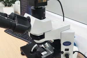 Kính Hiển Vi Trường Sáng Là Gì?