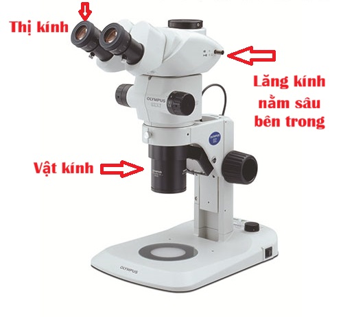 kính hiển vi olympus