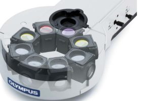 Kính hiển vi huỳnh quang tạo sao cần filter cube phù hợp?