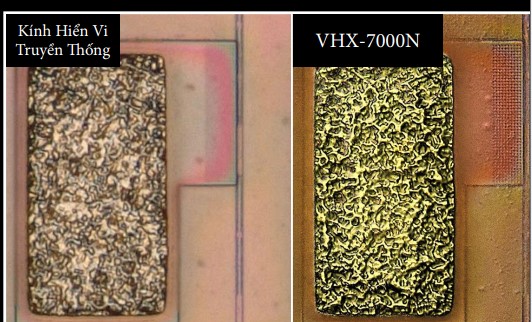 ảnh chụp dưới kính hiển vi kỹ thuật số