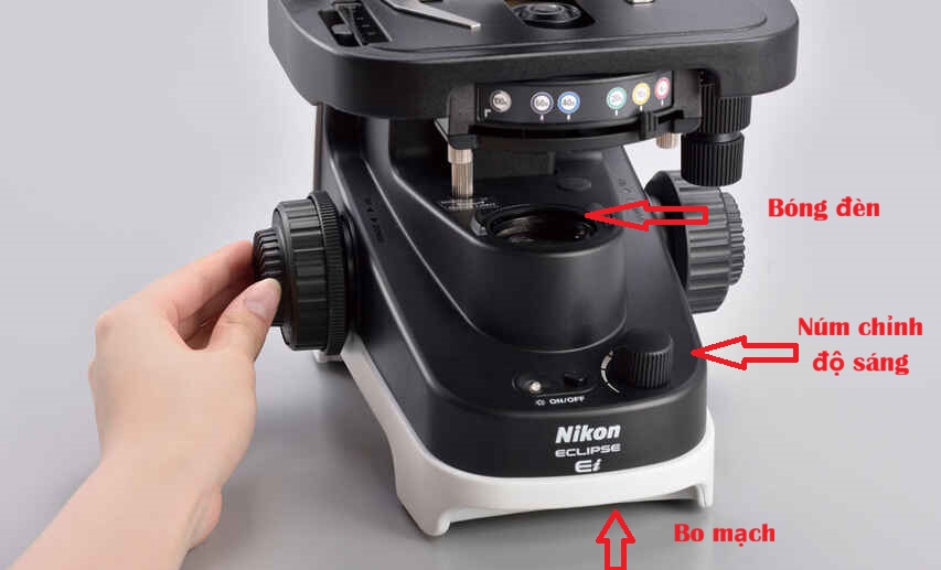 cấu tạo kính hiển vi