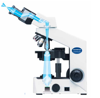 kính hiển vi cx21