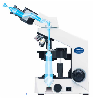 kính hiển vi cx21