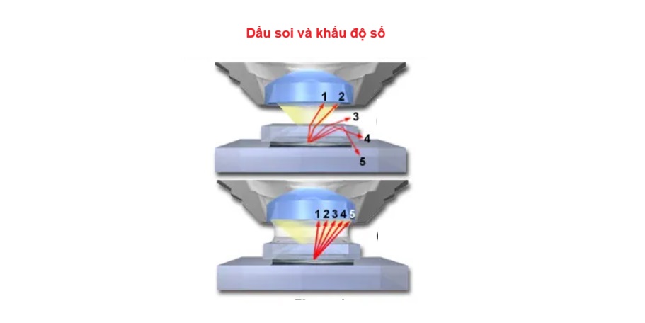 dầu soi kính hiển vi