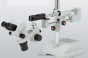 So Sánh Kính Hiển Vi Soi Nổi Và Kính Hiển Vi Kim Tương