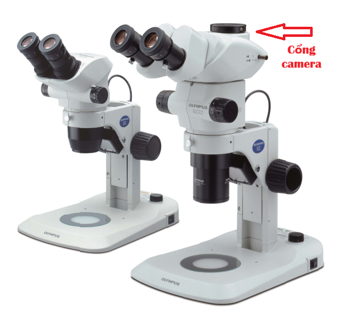 kính hiển vi 3 mắt