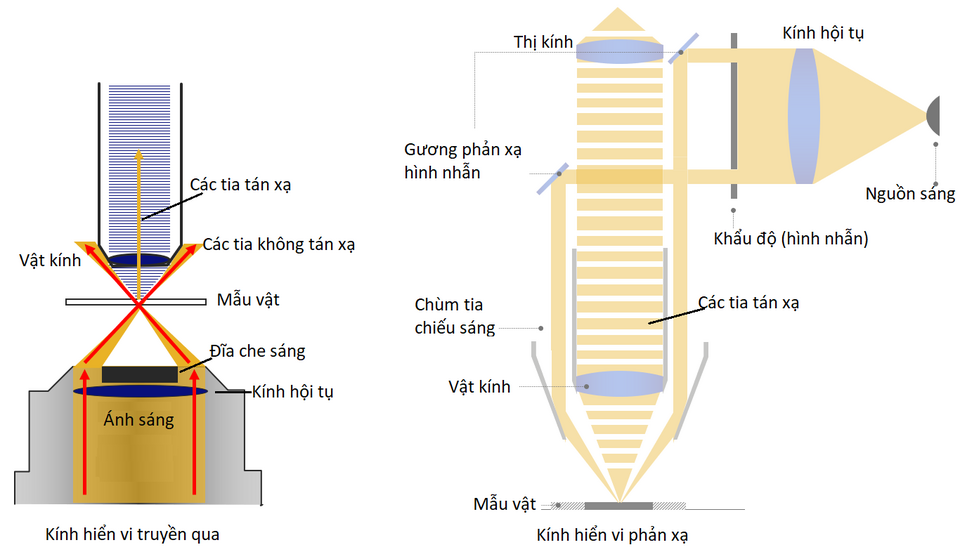 tụ quang trường tối