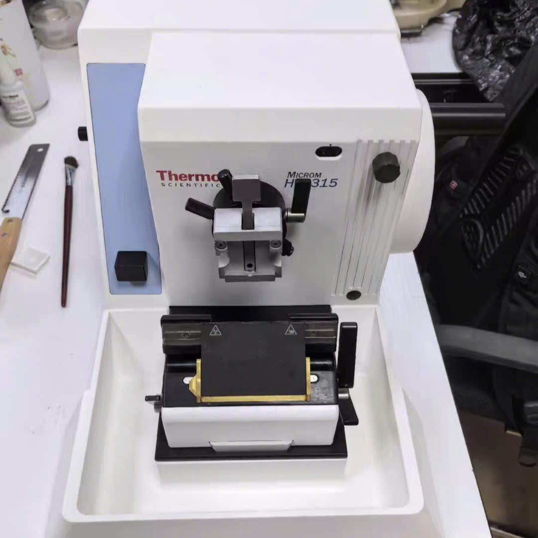 Máy Cắt Tiêu Bản Thermo HM315 cũ