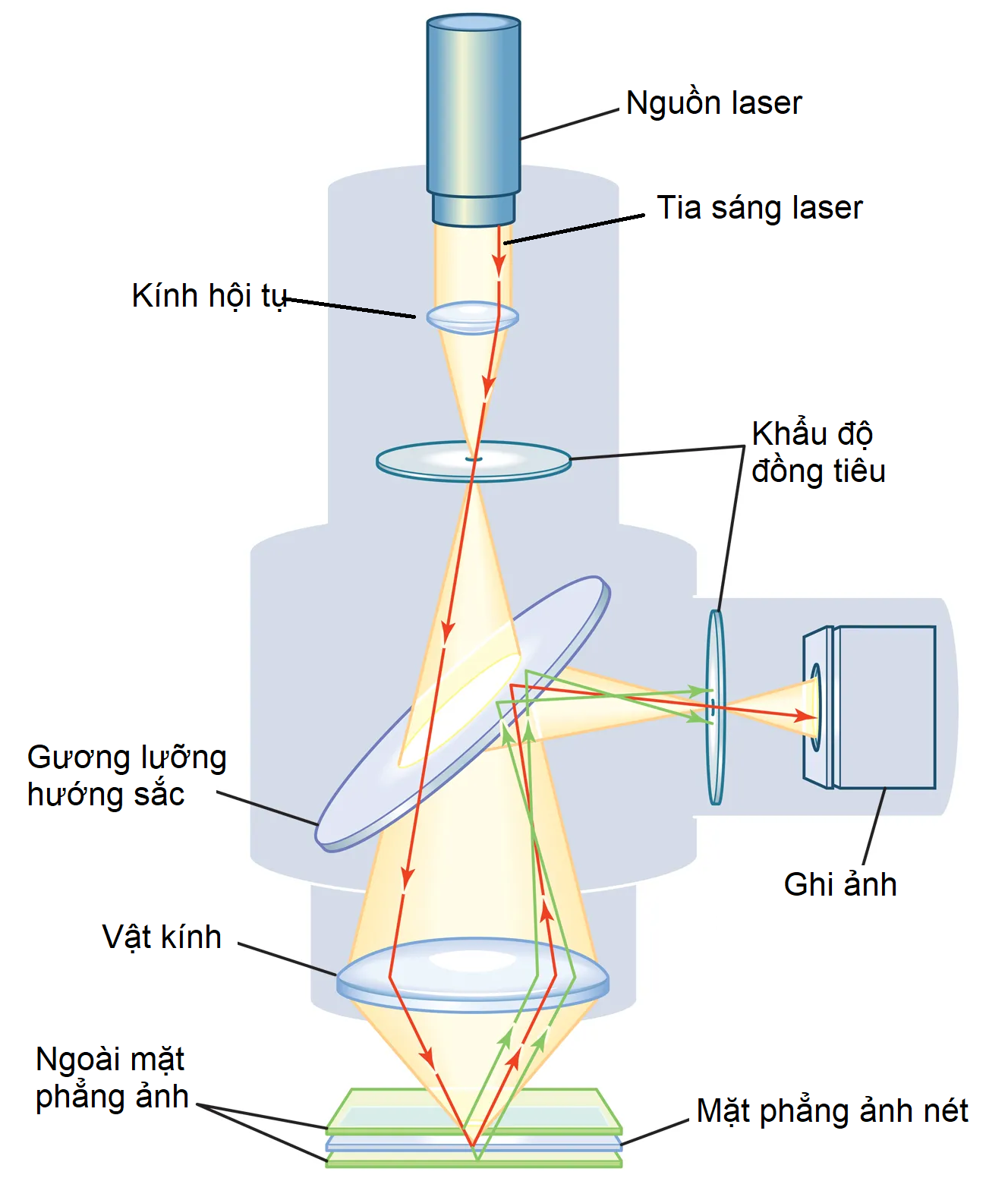 kính hiển vi confocal