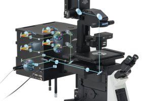 Kính Hiển Vi Confocal Là Gì