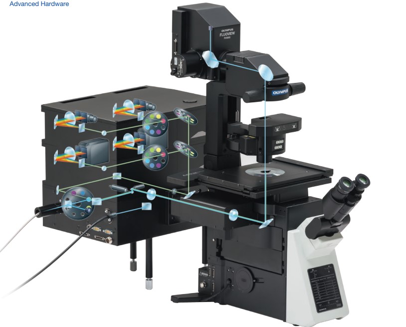 kính hiển vi đồng tiêu quét laser