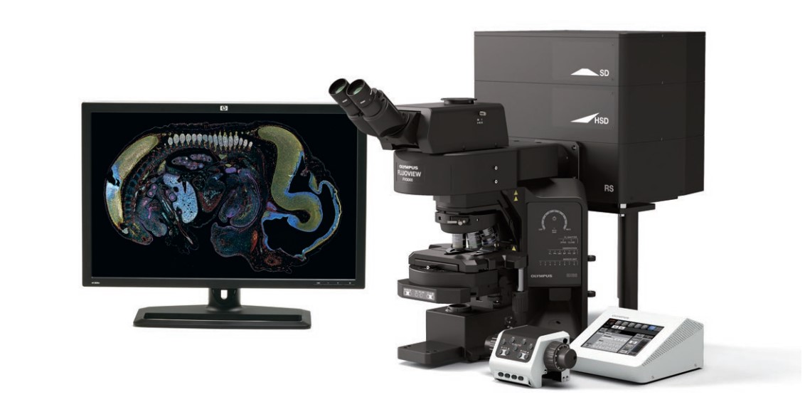 kính hiển vi confocal