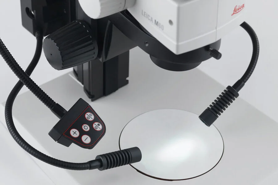 đèn led chiếu xiên trên kính hiển vi